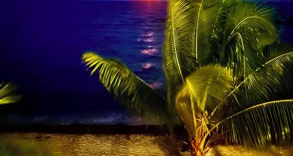 Treetop Beachfront Cabana