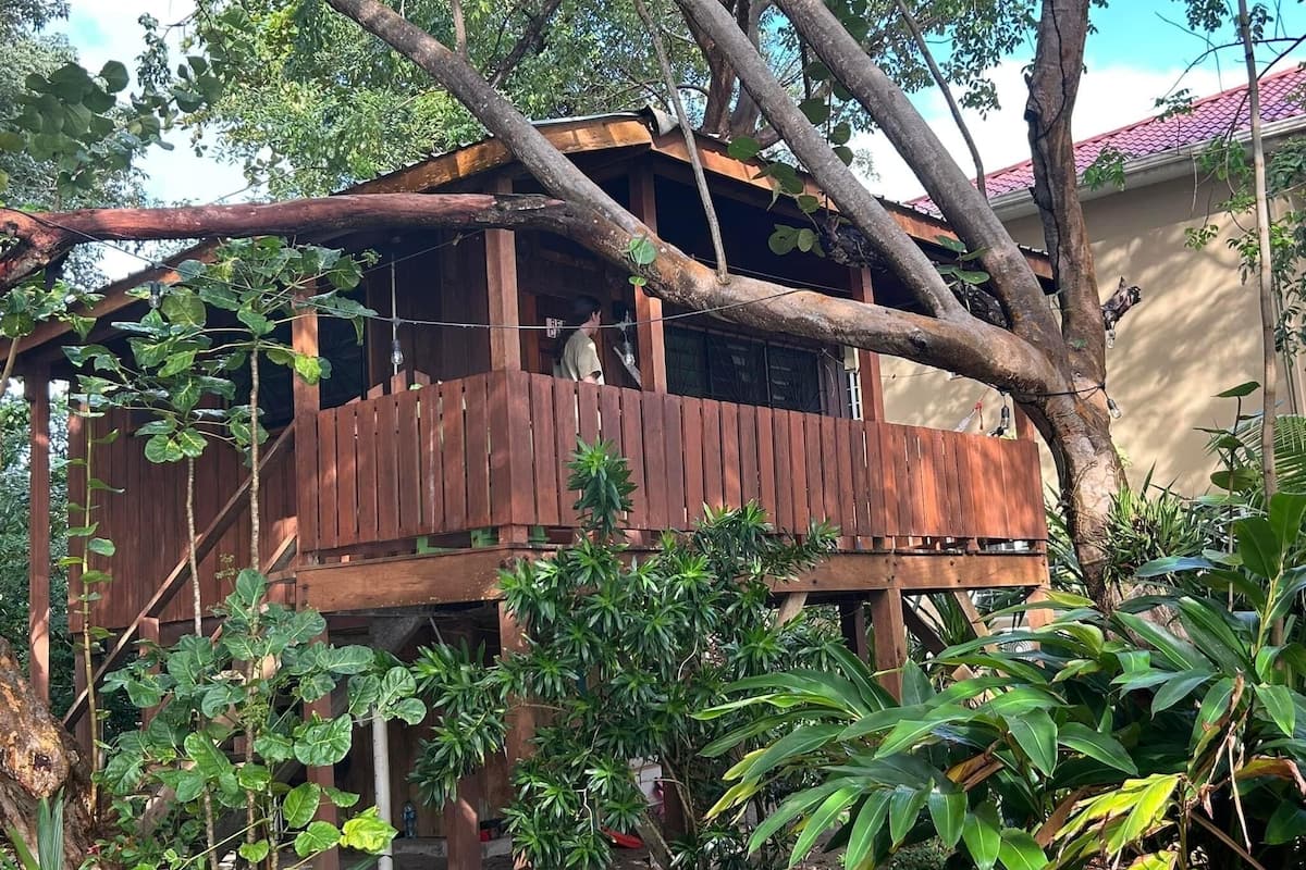 Studio - pentry - utsikt mot stranden | Exteriör