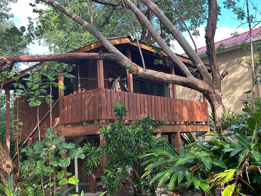 Una estructura de madera con balcón, rodeada de exuberante vegetación y árboles.