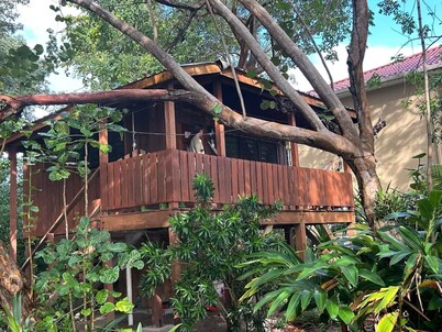 Treetop Beachfront Cabana