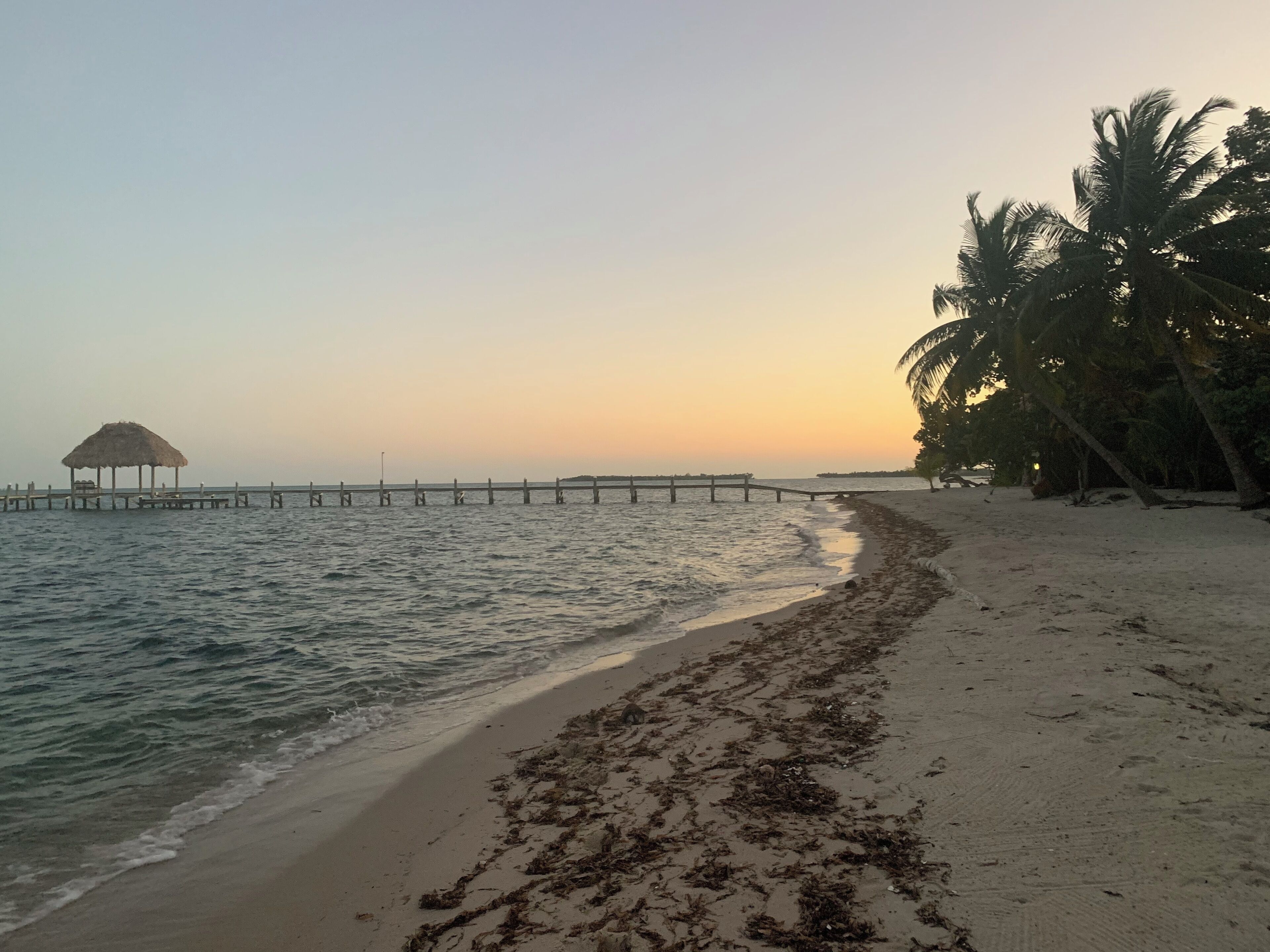 A beach with a wooden pier extending into calm waters, a thatched-roof structure, and palm trees along the shore.
