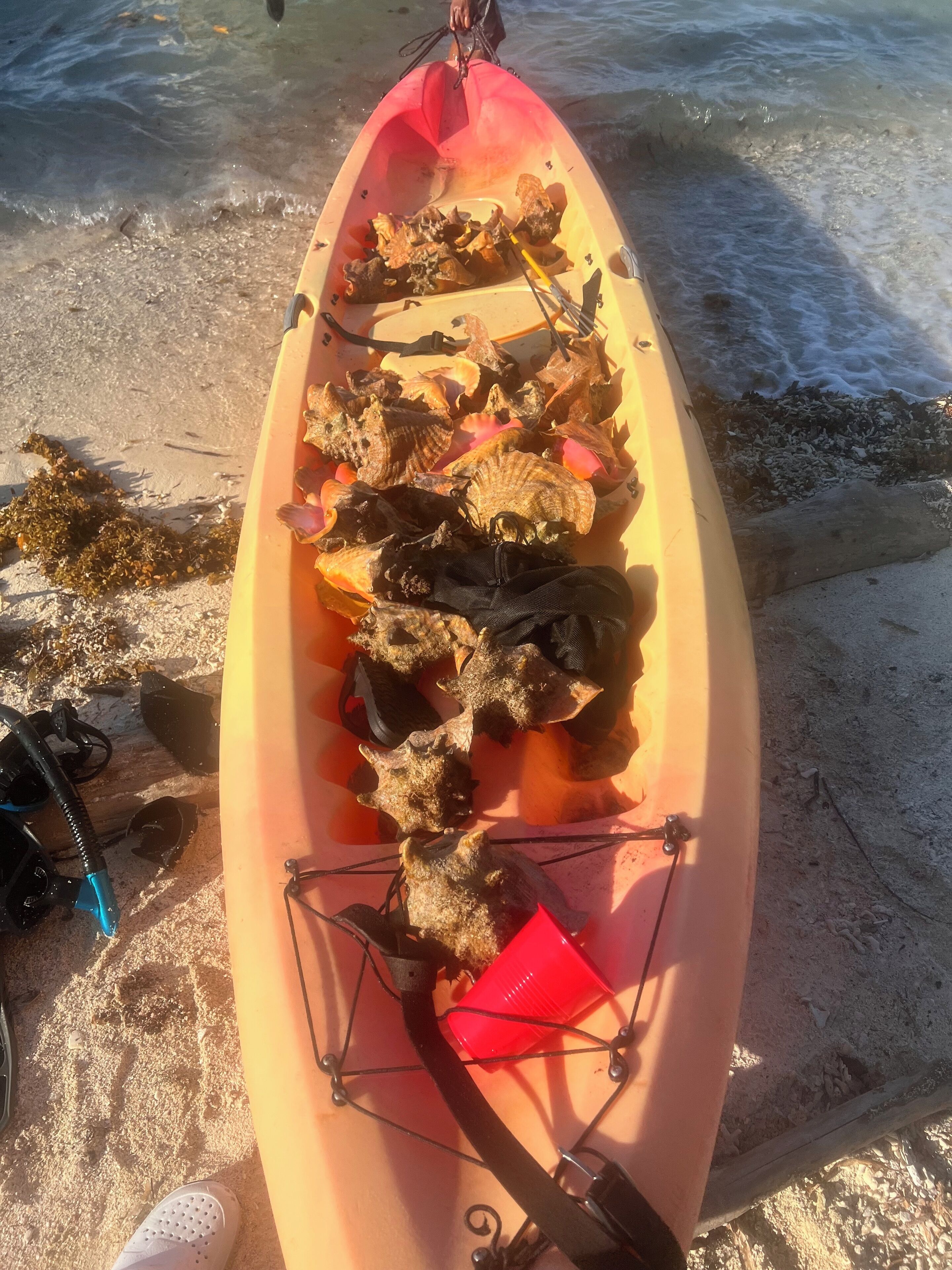 Una kayak llena de conchas marinas y una paleta roja sobre una playa arenosa.
