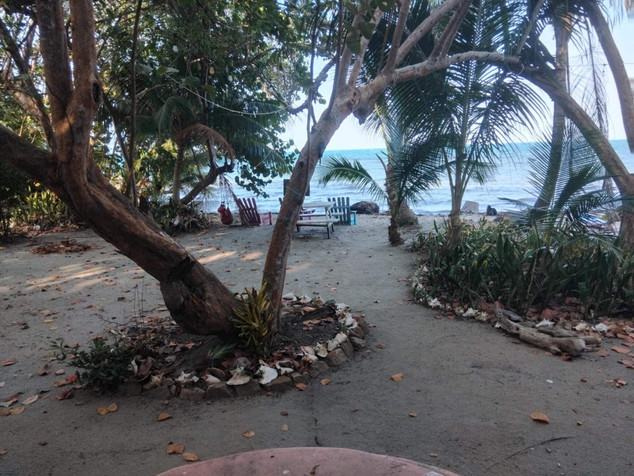 Pemandangan dari bilik