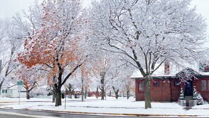A snow-covered building with a brick facade, surrounded by trees with some leaves still visible. - This Old Frat House (Missoula)