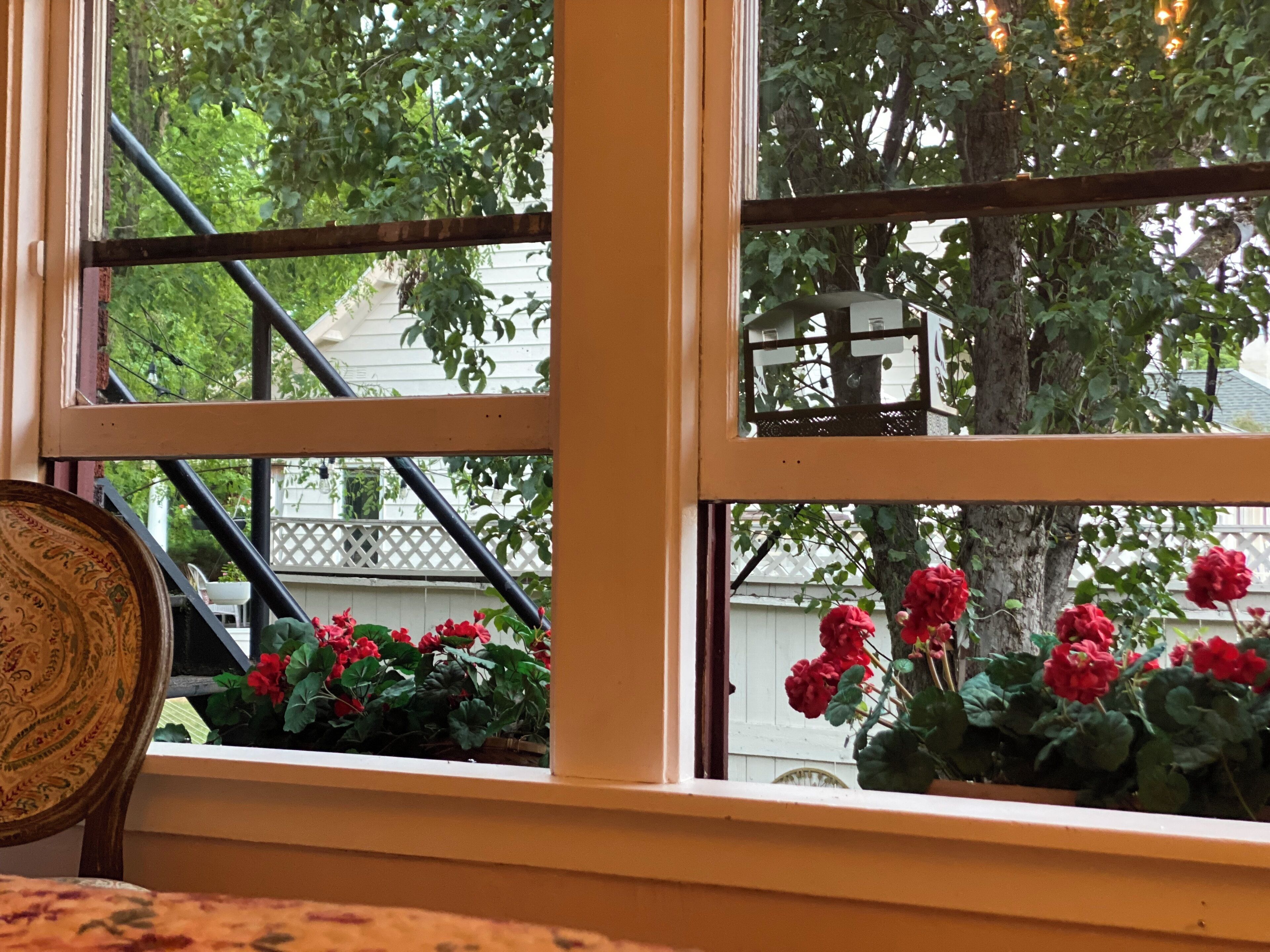 Exclusive Double Room, Garden View | View from room