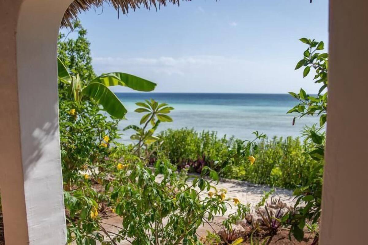 Une vue à travers une structure dont le toit est fait de chaume, donnant sur une plage avec de la végétation et un ciel dégagé.
