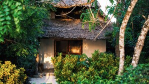 A rustic thatched-roof house surrounded by dense greenery. - Veridiana Hotel (Kizimkazi)
