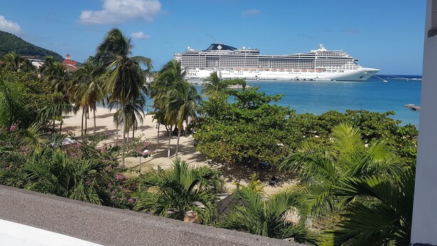 Ein großes Kreuzfahrtschiff liegt im Hafen, im Vordergrund ein Strand und Palmen.