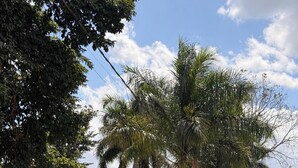 施設の敷地