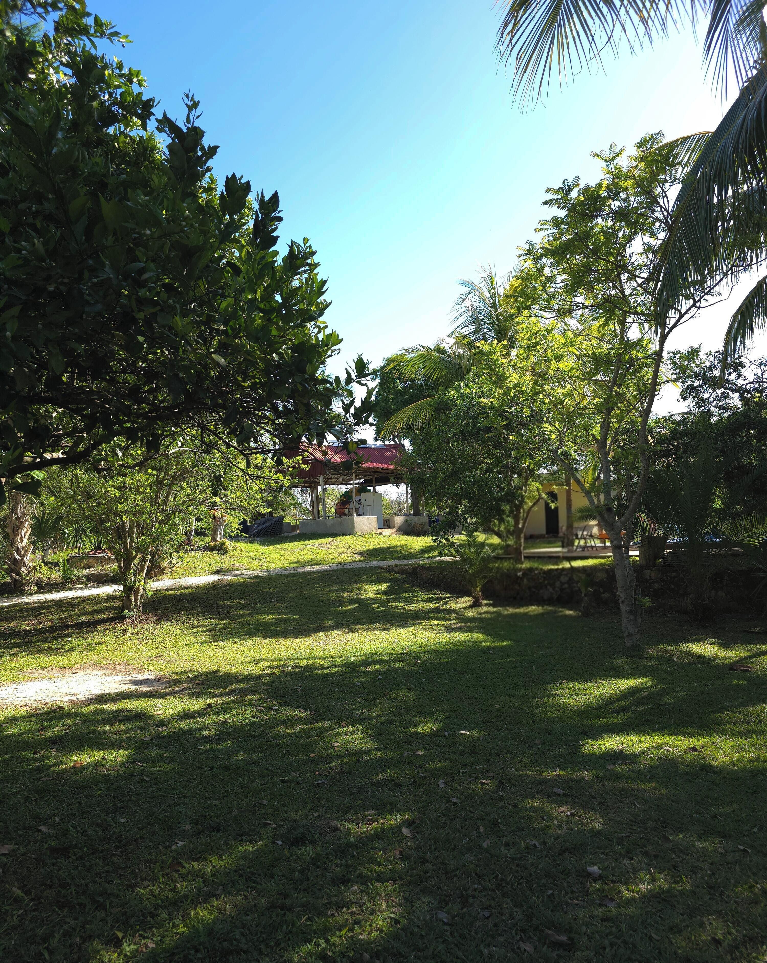 A grassy area with trees and a building with a red roof.
