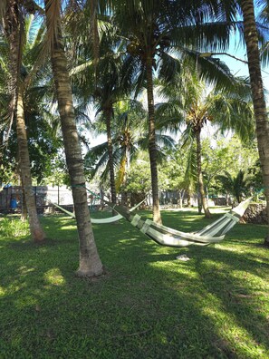 A hammock between palm trees in a grassy area. - Villa Carulio - Villa privada entre animales y naturaleza (Ebtún)