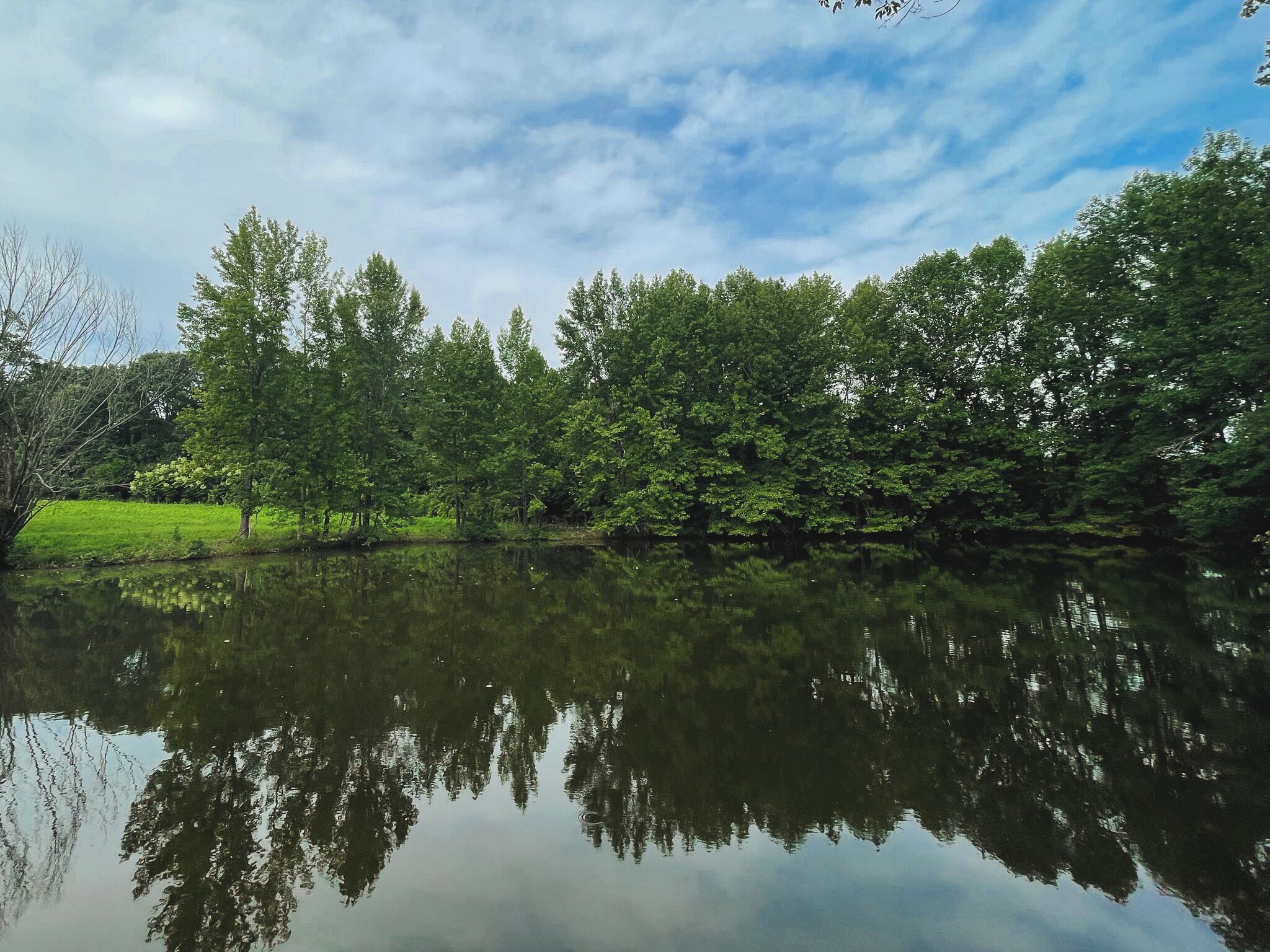 Um lago calmo com árvores densas refletidas na água.