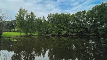 Um lago calmo com árvores densas refletidas na água.