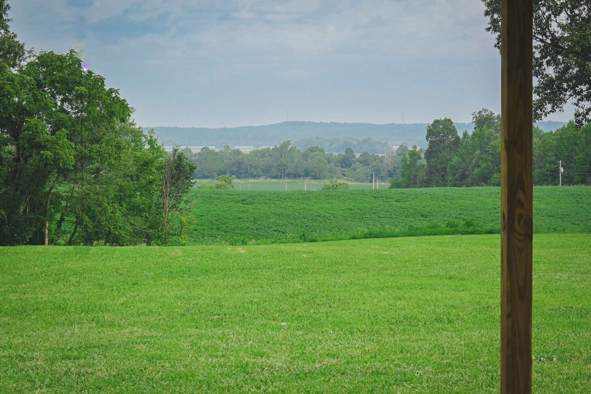 Ein grünes Feld mit Bäumen und einer entfernten Hügelkette.