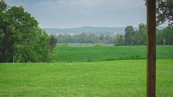Ein grünes Feld mit Bäumen und einer entfernten Hügelkette.