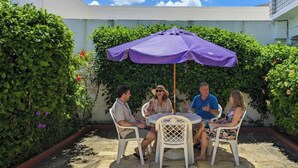 A patio with a round table and four chairs, an umbrella, and lush greenery.