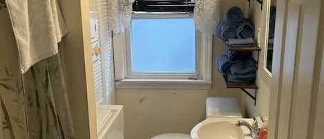 Shower, hair dryer, toilet paper