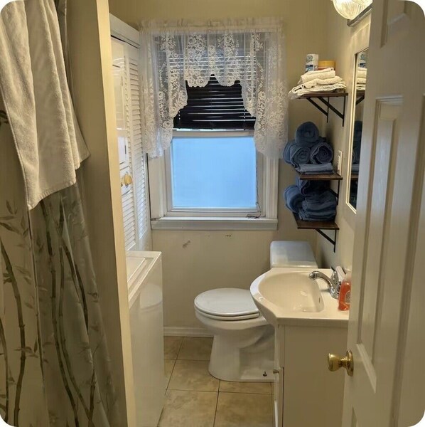 Shower, hair dryer, toilet paper