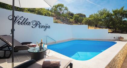 Villa with private pool, terrace and garden with fireplace