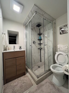 Hair dryer, towels, soap, toilet paper