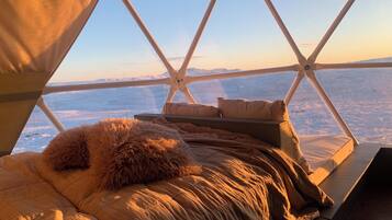 1 habitación y ropa de cama