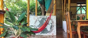 "The Rich House of Costa Rica"