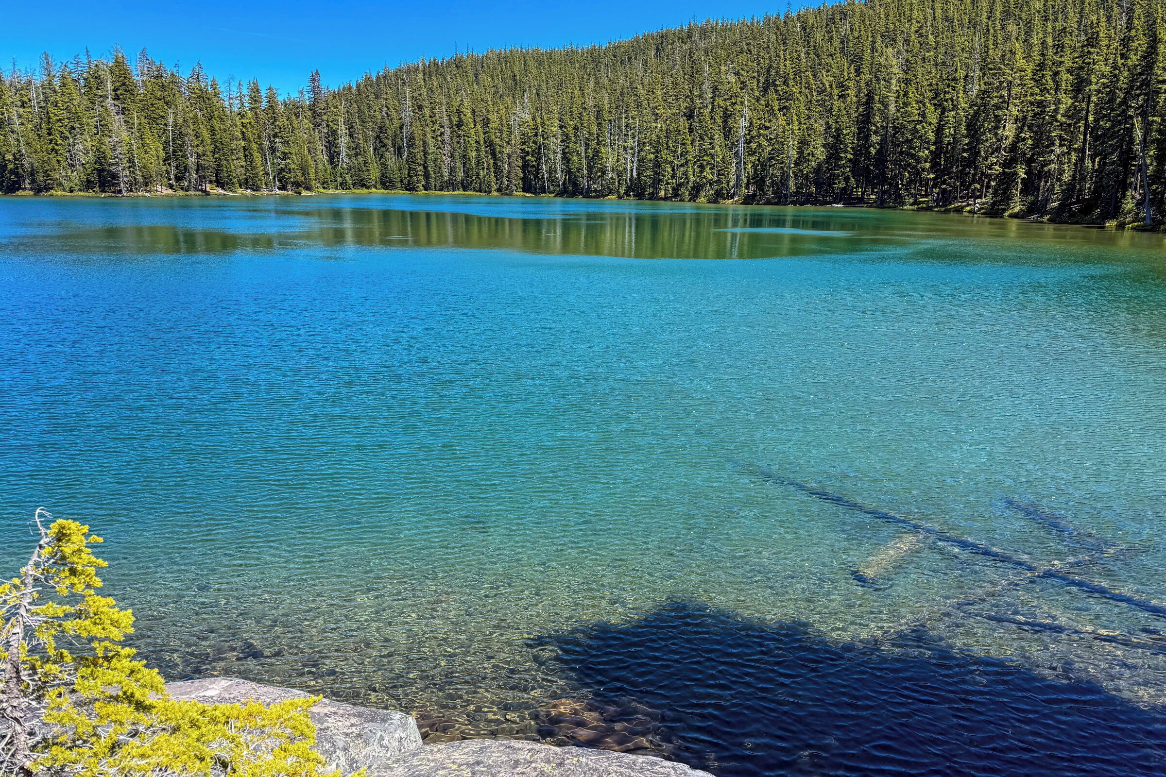 Un lac aux eaux limpides, entouré d’une forêt dense.