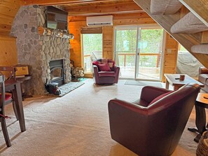 Smart TV, fireplace, books