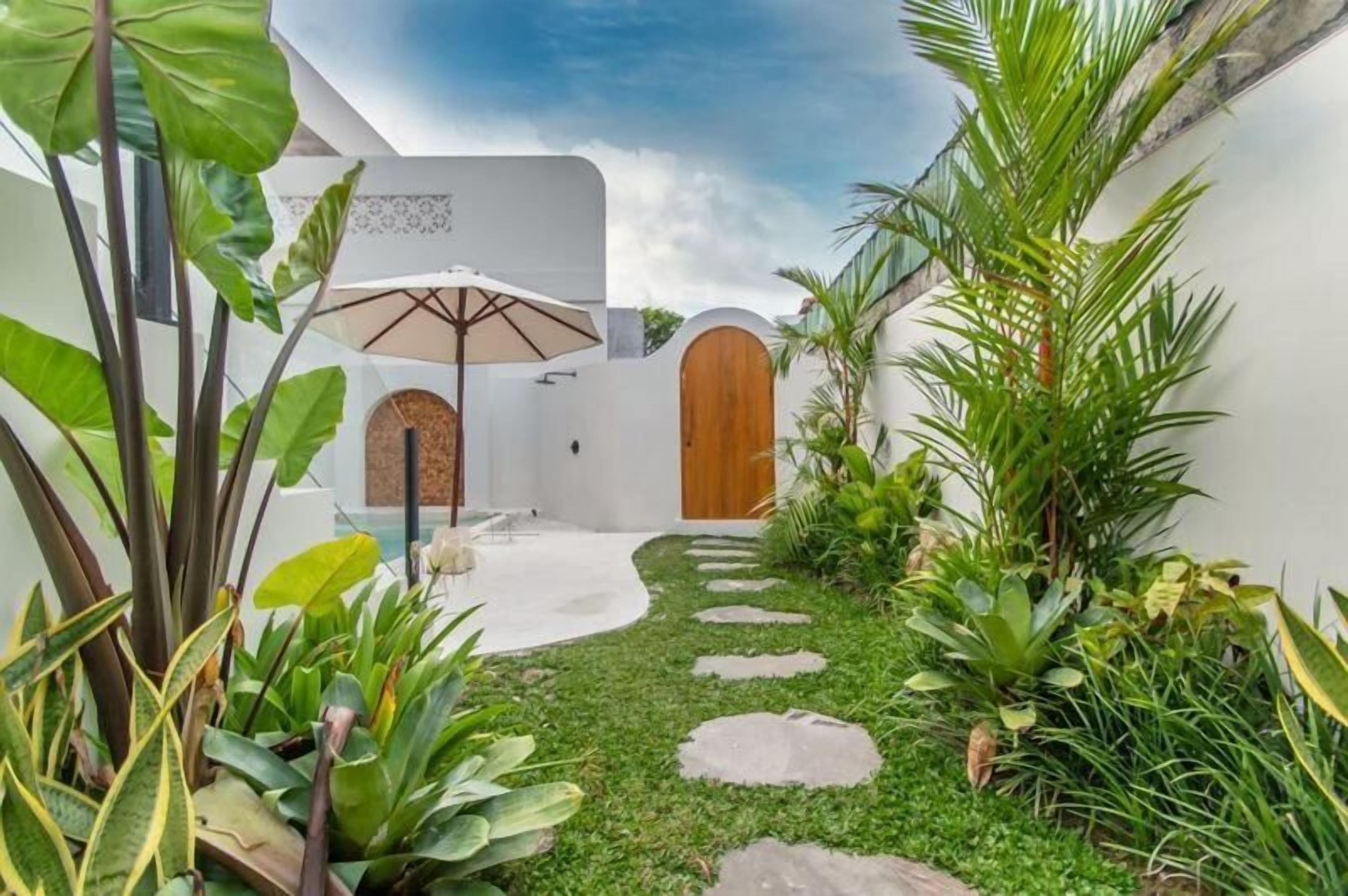 A courtyard with a white wall, a wooden door, and a concrete path.