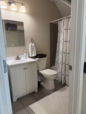 Hair dryer, towels, soap, shampoo - Sunny Studio Hideaway- Minneapolis Lakes Area! (Minneapolis)