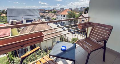 AMBER apartments Spacious FLAT near park SIBIU #28