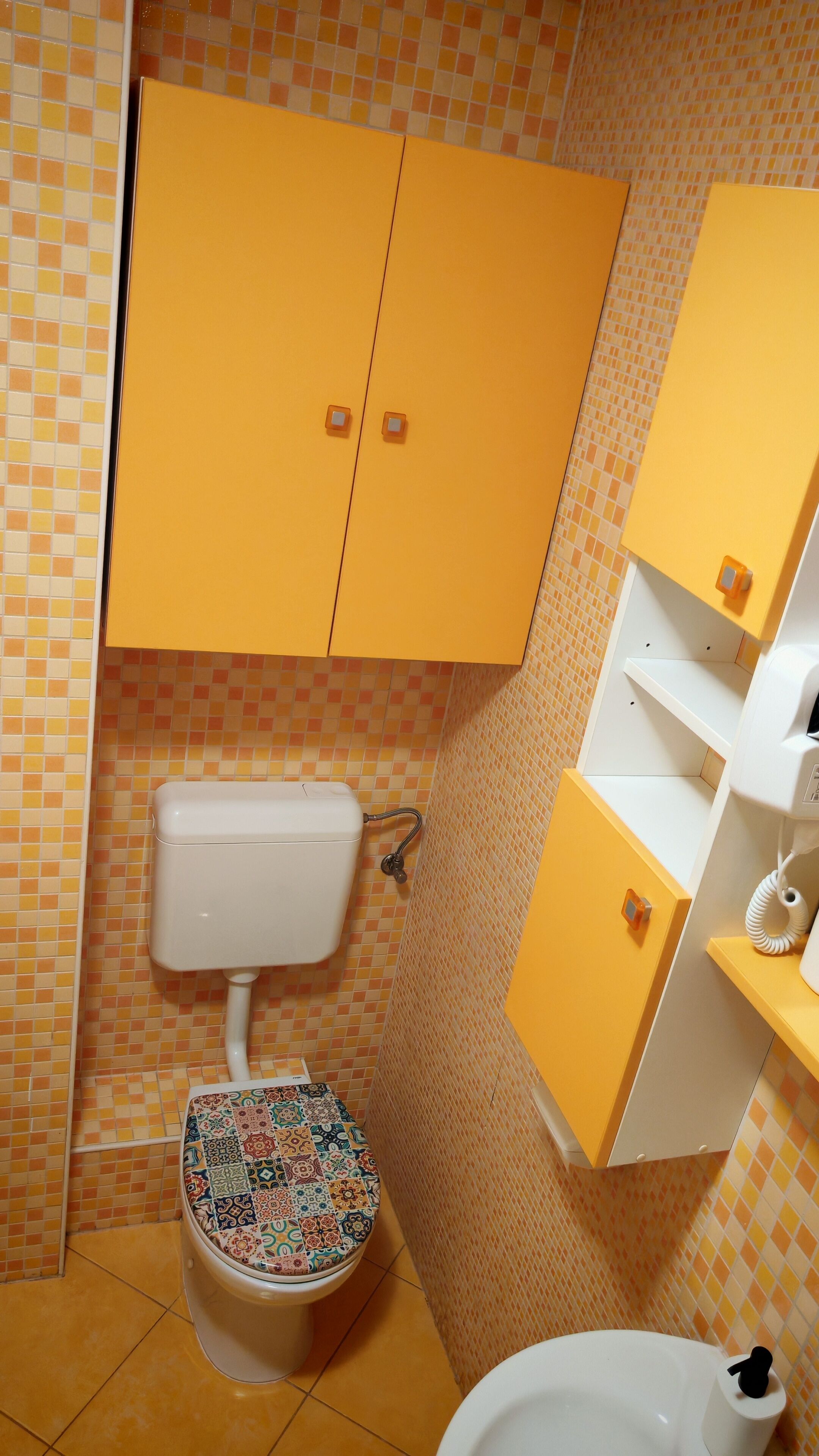 Un bany amb vàter, un lavabo i un armari.