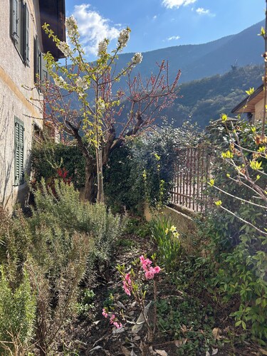 Apartment in Salorno, half an hour from Trento and Bolzano, with private parking.