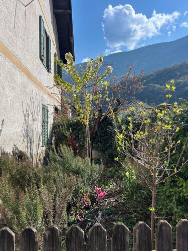 Appart. à Salorno, à une demi-heure de Trente et de Bolzano, avec parking privé.