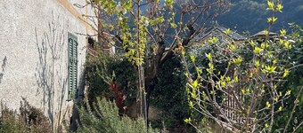 Apartment in Salorno, courtyard and private parking.