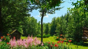 Ein üppiger Garten mit einer Holzhütte, dichten Bäumen und verschiedenen Blumen.