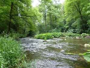 Miscellaneous - Your idyllic guest house on the Hexenstieg in the Bode Valley (Thale)
