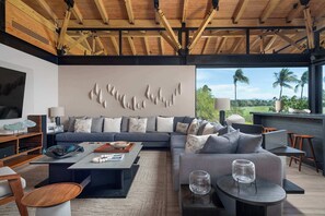 TV, DVD player, table football, stereo - Modern Beachfront Villa: Chef, Pool & Premier Access (Punta Mita)