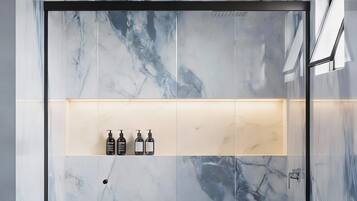 Shower, hair dryer, towels, toilet paper