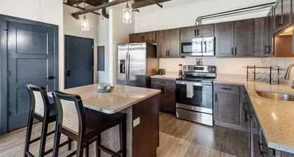 301 - Luxury Downtown Condo 1 bedroom