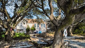 A large tree with a lifebuoy hanging from it, a house in the background, and a clear sky. - Bayfront backyard with a dock, 3BR, Dogs Welcome! (Norfolk)
