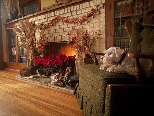 Elegant 2BR Craftsman w/ Fireplace, across from UM, sleeps 4