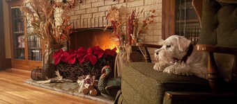 Elegant 2BR Craftsman w/ Fireplace, across from UM, sleeps 4