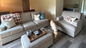 Un salon avec un canapé gris, un pouf assorti et une table basse. Un chien est présent dans la pièce, qui est dotée d’un plancher en bois.