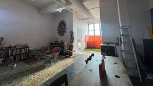A spacious room with a large wooden table, bookshelves, a potted plant, and a ladder.