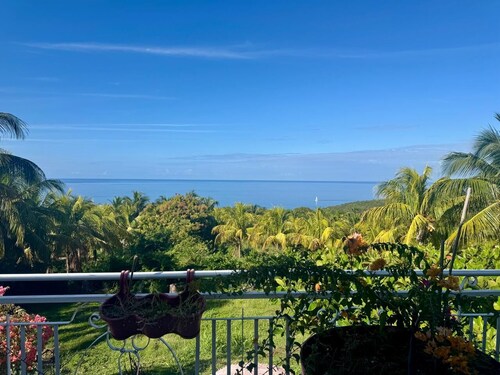 Tropical Escape in Vx-Habitants : Entire Lodging Private Spa & Pool Access