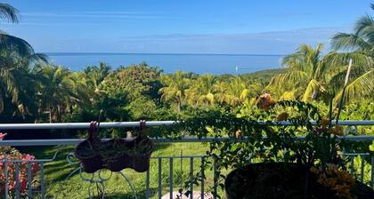 Tropical Escape in Vx-Habitants : Entire Lodging Private Spa & Pool Access