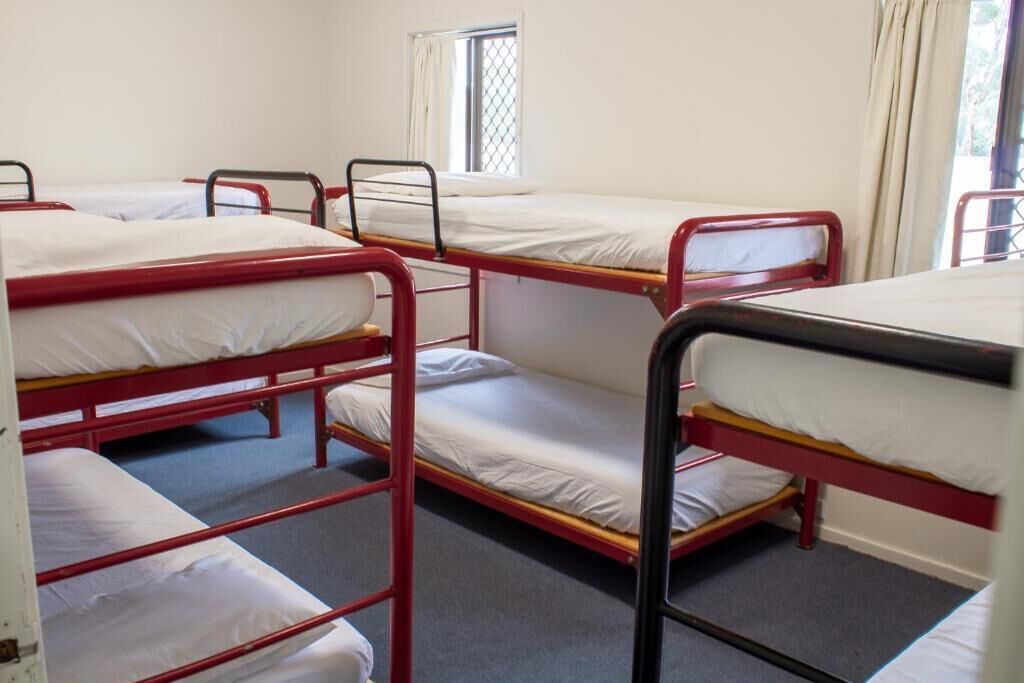Un dormitorio con literas, una ventana con cortinas y suelo alfombrado.