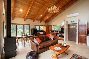 Televisión y chimenea 