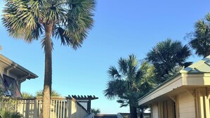 Una pasarela de madera que lleva a un edificio con un porche, rodeado de palmeras.
